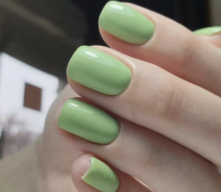 Салон красоты Beauty Studio в Анапе: Брови, Стрижка, Ногти, Волосы,