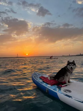 Серф станция Sup Sochi Surfing