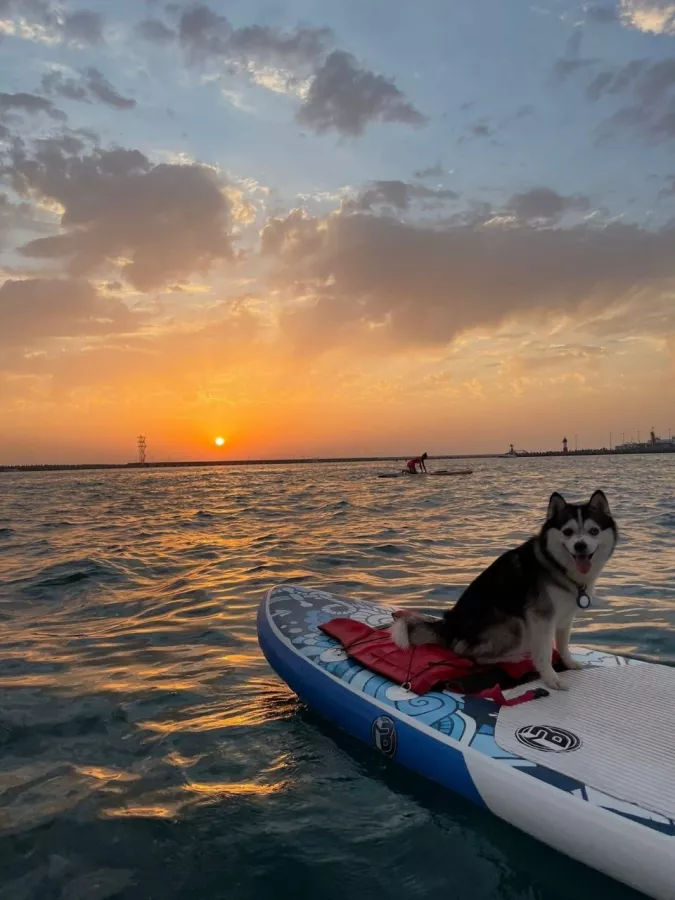Серф станция Sup Sochi Surfing в Сочи: Сапсерф, Сап, Пляж, Маяк, Вода,
