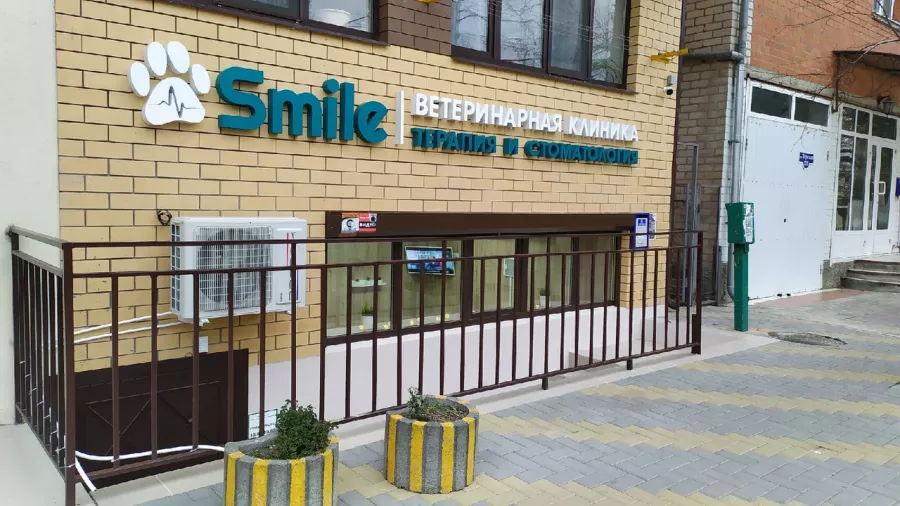 Ветеринарная клиника Smile в Анапе: Ветеринар, Вызов ветврача,
