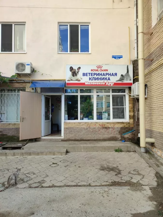 Ветклиника Маленький друг в Анапе: Ветеринар, Стационар, Ветаптека, Чипирование,