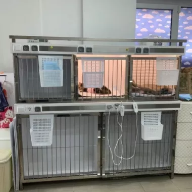 Центр здоровья животных "VetClub"