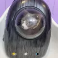 Миниатюра 10