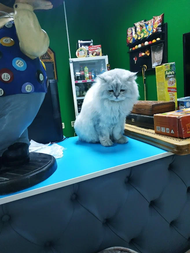 СпортКлуб Бильярда и Тенниса "Tati"