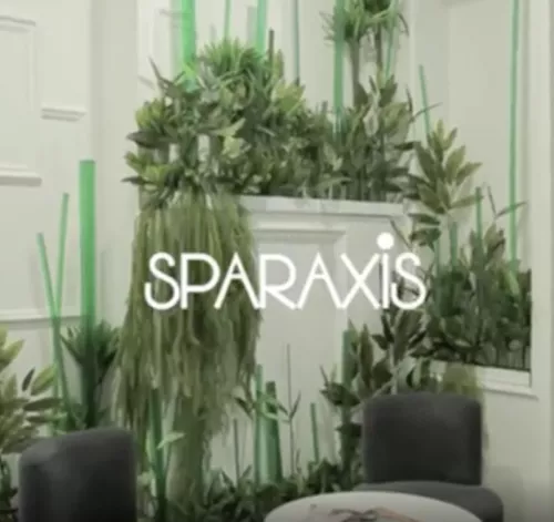 Sparaxis в Новороссийске