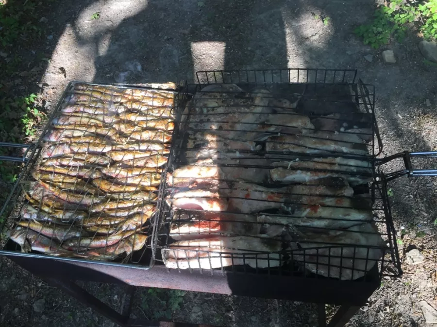 База отдыха Можжевеловый рай в Анапе: Кемпинг, Глэмпинг, Домики, Бунгало, База отдыха,