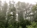 Миниатюра 12