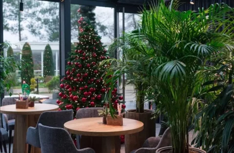 Фото 1
