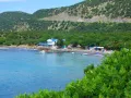 Миниатюра 21