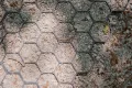 Миниатюра 10