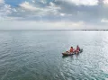 Миниатюра 12