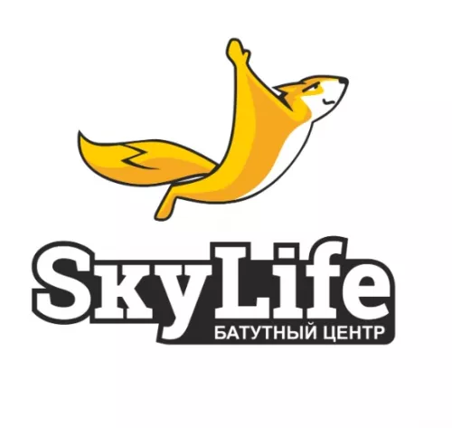 батутный центр SkyLife  в  Санкт-Петербурге