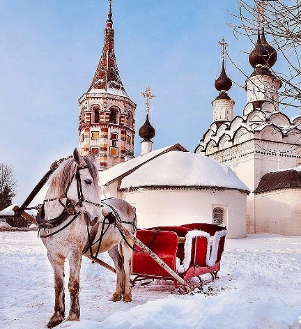 конноспортивный клуб Светозар в Санкт-Петербурге: прогулки, конные , лошади, природа,