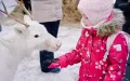 Миниатюра 16