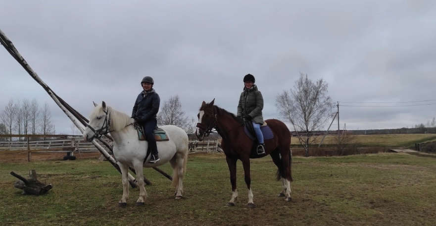 конный клуб Western Horse в Санкт-Петербурге: прогулки, конные , лошади, природа,