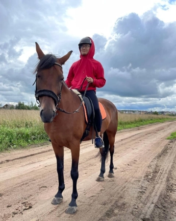 конный клуб Western Horse в Санкт-Петербурге: прогулки, конные , лошади, природа,