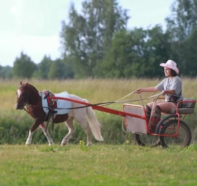 конный клуб "Western Horse"