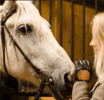 конный клуб "Western Horse"