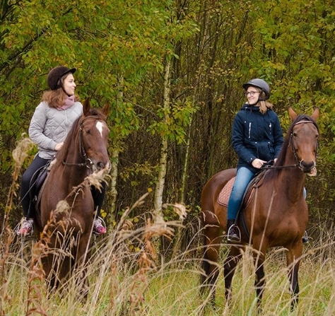 конный клуб Western Horse в Санкт-Петербурге: прогулки, конные , лошади, природа,
