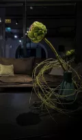 Миниатюра 3