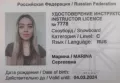 Миниатюра 9