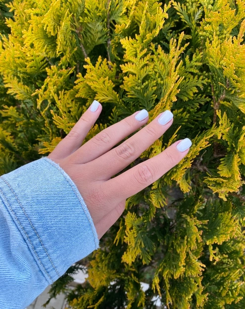 Студия красоты "Virgo"