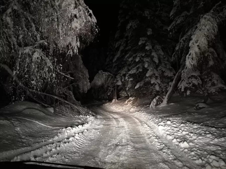 Баня в Хостеле Лесной Кот в Архызе: Легкий пар,