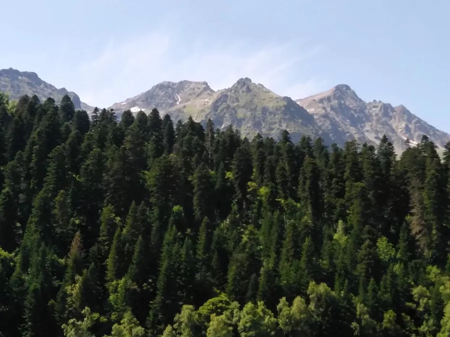 Баня-база отдыха Высота 1440 в Архызе: Легкий пар,