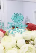 Миниатюра 1