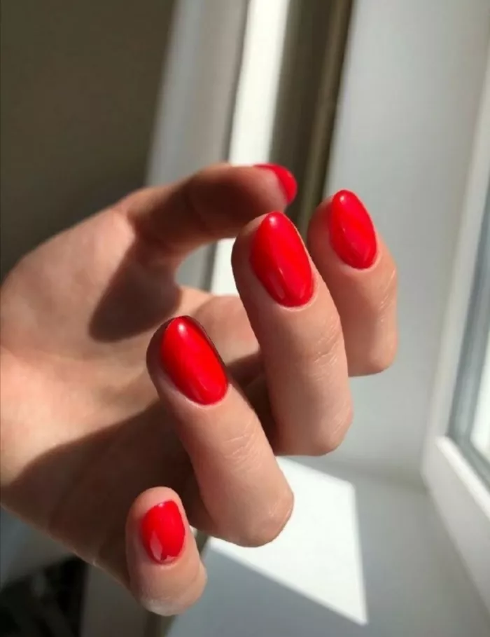 Студия красоты Софии Литвиновой