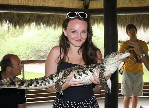 Аренда Крокодила