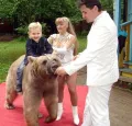 Миниатюра 6