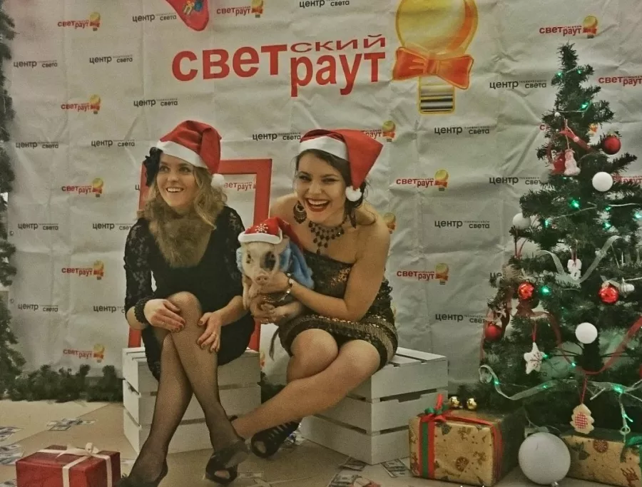 Аренда Крокодила в Москве: Шоу Зверей, Контактный Зоопарк, Цирк,