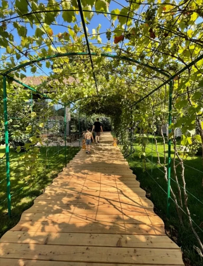 Загородный комплекс Лесная Заимка в Геленджике: Бассейн, Купели, Хаммам, Жилье,