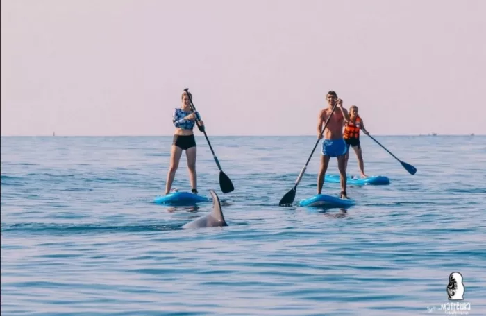 Сапсёрфинг "ГОУ сап"