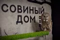 Миниатюра 13