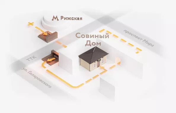Антикафе с совами "Совиный Дом"
