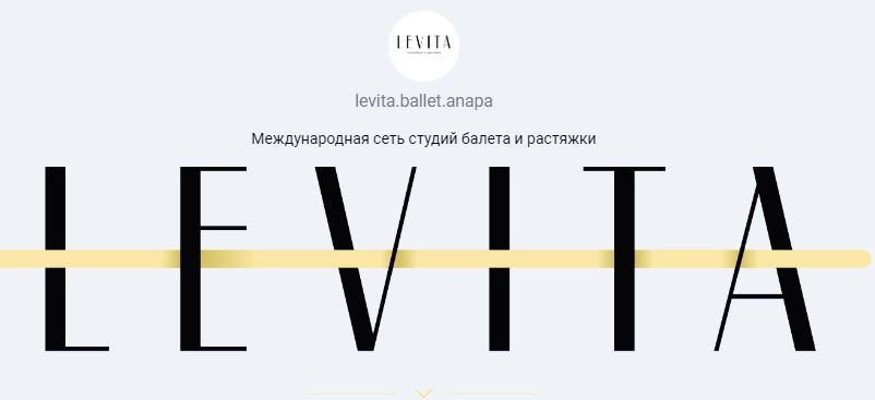 Международная сеть студий балета и растяжки «LEVITA»