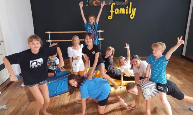 Студия танца и растяжки «D's Family»