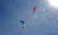 Миниатюра 11