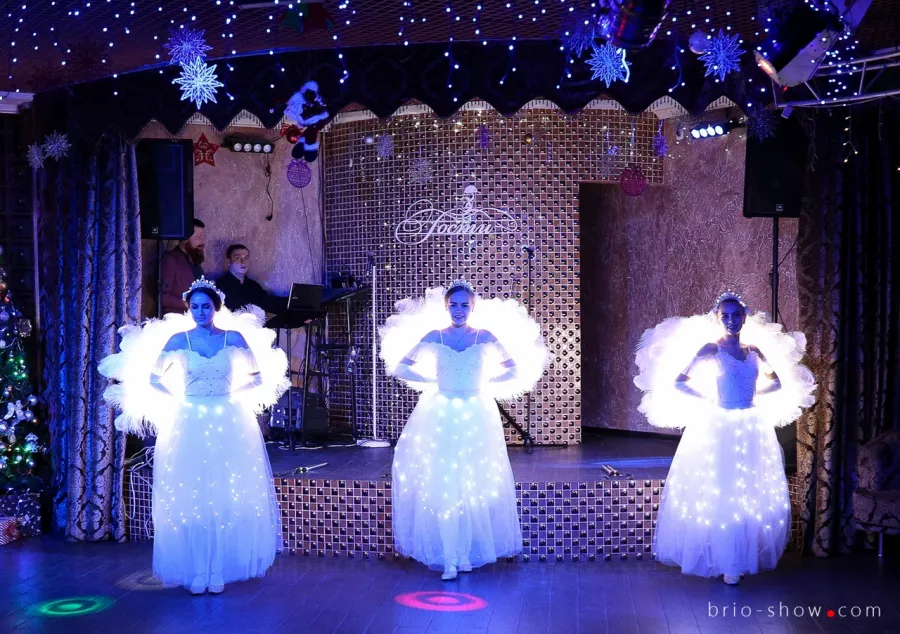Шоу-программы на Ваш праздник Brio Show в Москве: Шоу На Заказ, ФайерШоу, Фейерверк, Салют,
