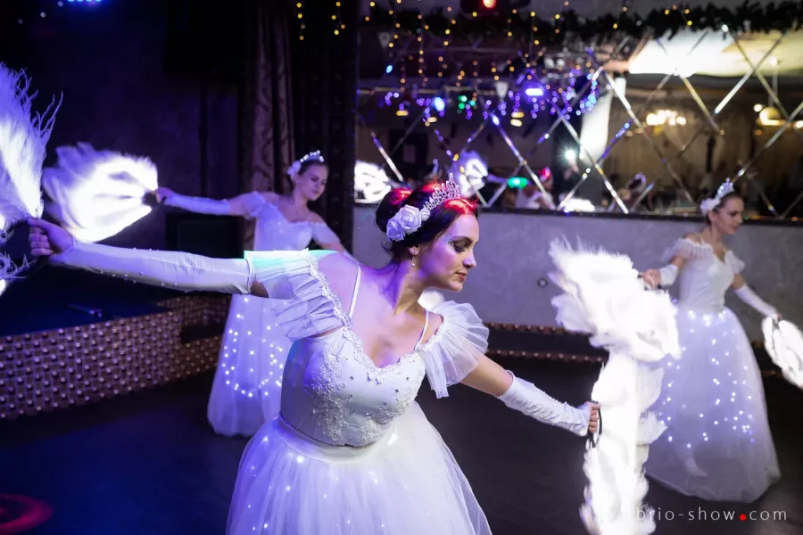 Шоу-программы на Ваш праздник Brio Show в Москве: Шоу На Заказ, ФайерШоу, Фейерверк, Салют,