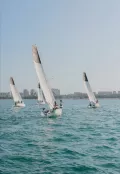 Миниатюра 10