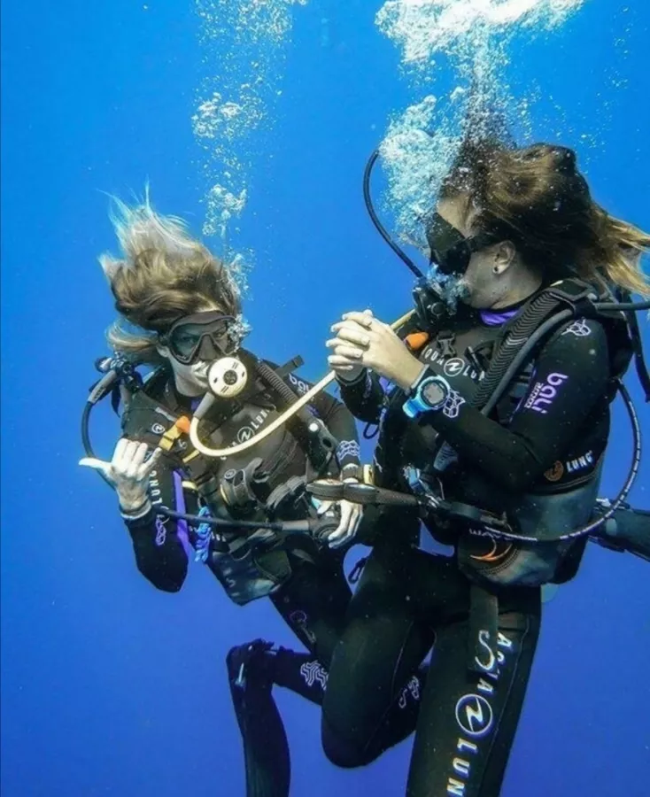 Дайвинг-клуб Reef Dive Club в Геленджике: Подводные Работы, На Море, Дайвинг,