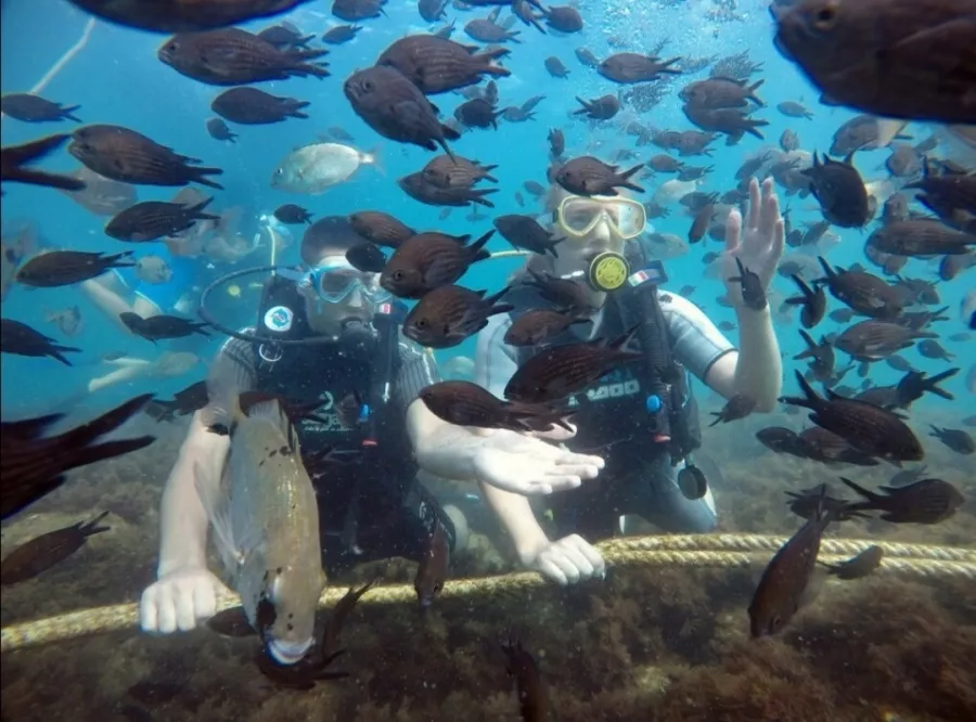 Дайвинг-клуб Reef Dive Club в Геленджике: Подводные Работы, На Море, Дайвинг,