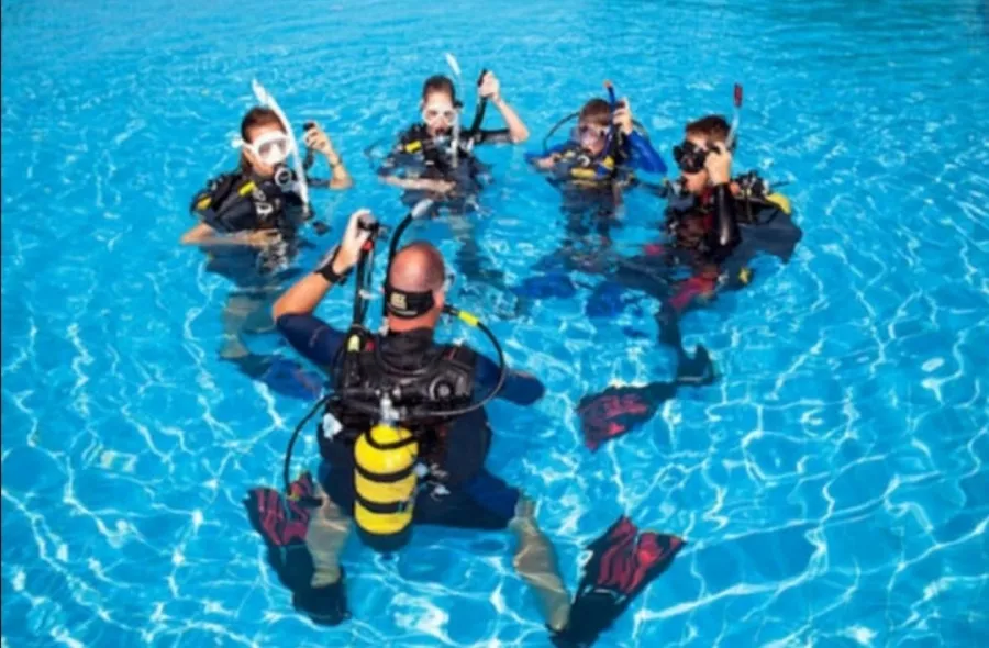 Дайвинг-клуб Reef Dive Club в Геленджике: Подводные Работы, На Море, Дайвинг,
