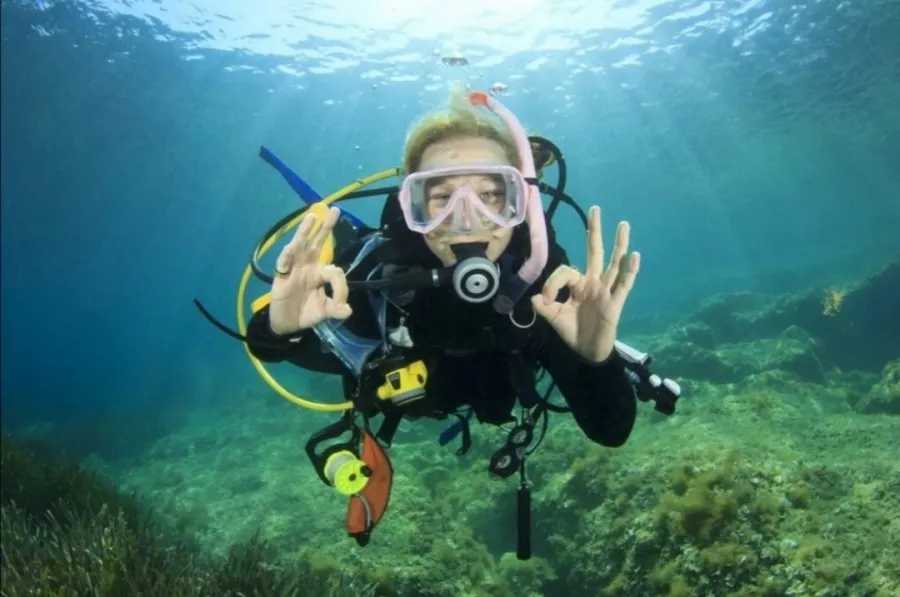 Дайвинг-клуб Reef Dive Club в Геленджике: Подводные Работы, На Море, Дайвинг,
