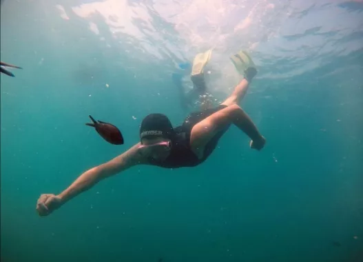 Дайвинг-клуб "Reef Dive Club"