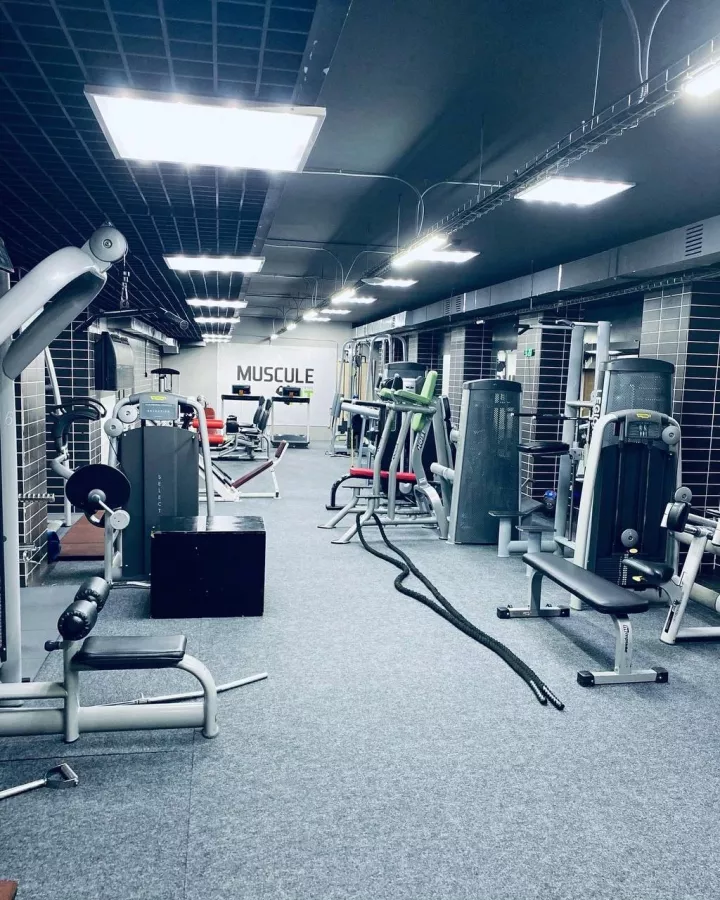 Фитнес-клуб Muscle Fit в Ростове-на-Дону: Тренажерный зал, Фитнес-клуб, Растяжка, Тренировка,