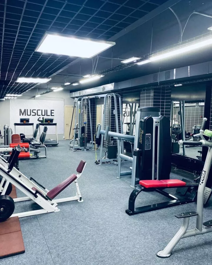 Фитнес-клуб Muscle Fit в Ростове-на-Дону: Тренажерный зал, Фитнес-клуб, Растяжка, Тренировка,